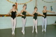 Sint 1981
